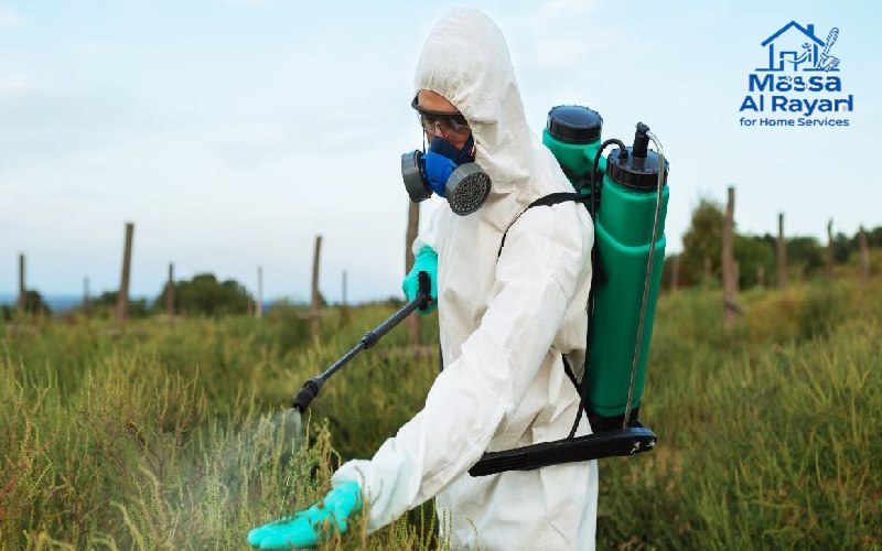 شركة مكافحة حشرات ورش مبيدات بالمجمعة 1 شركة مكافحة حشرات ورش مبيدات بالمجمعة