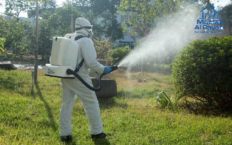 شركة مكافحة حشرات ورش مبيدات بالمجمعة 3 شركة مكافحة حشرات ورش المبيدات بالمجمعة001