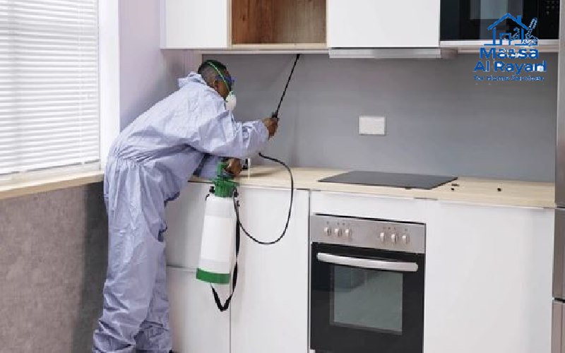 شركة مكافحة حشرات ورش مبيدات بالمجمعة 2 شركة مكافحة حشرات ورش المبيدات بالمجمعة002