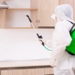 شركة ماسة الرياض للخدمات المنزلية بالرياض 0545160653000