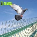 شركة مكافحة الحمام بالرياض