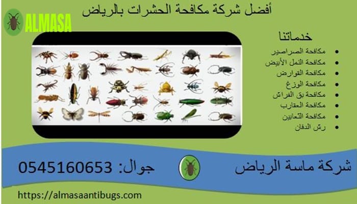 افضل شركة مكافحة حشرات بالرياض 2 افضل شركة مكافحة حشرات بالرياض | 0545160653
