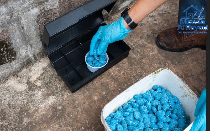 مكافحة الفئران والقوارض بالرياض - صناديق طعوم آمنة