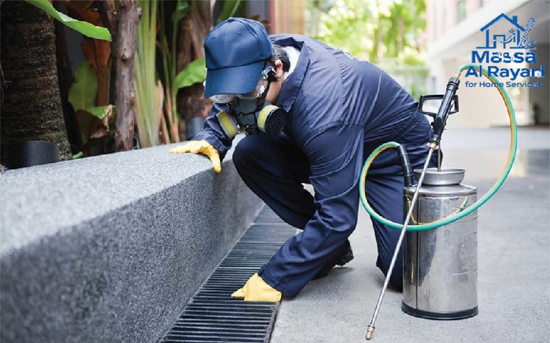 رش البيارات والأنابيب في الرياض - معالجة مصدر الحشرات