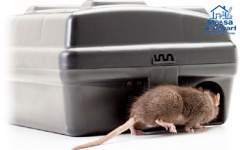 مكافحة القوارض والفئران في المنازل - طرق الإقصاء والمصائد الاحترافية للقضاء على الجرذان والفئران