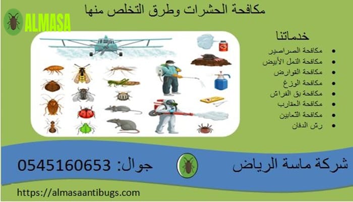 مكافحة الحشرات 3 مكافحة الحشرات | 0545160653