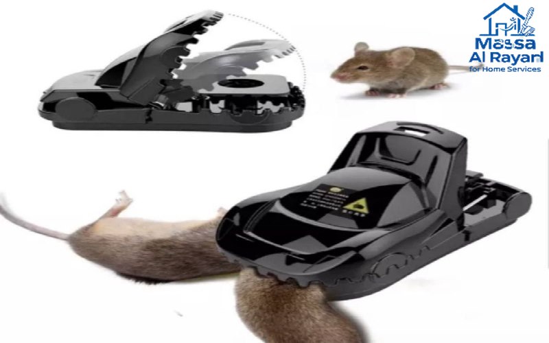أفضل أنواع المصائد للقضاء على الفئران