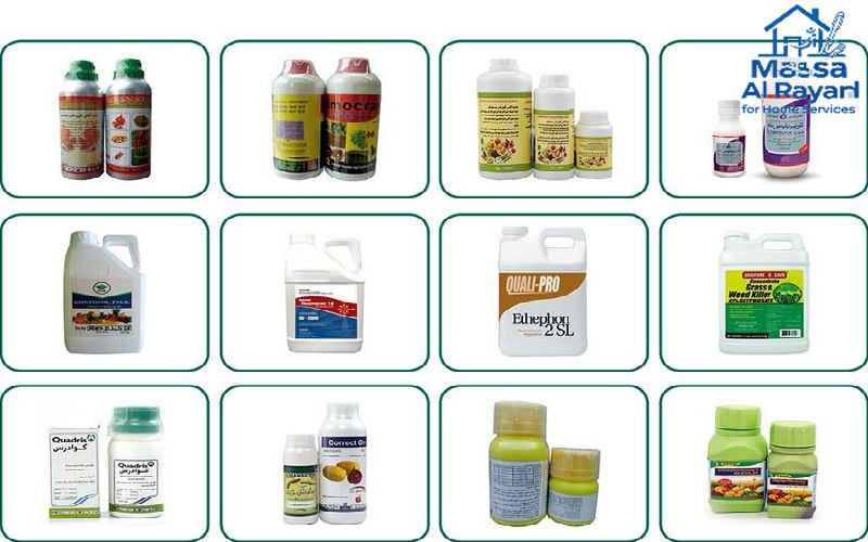 أفضل أنواع المبيدات المستخدمة للتخلص من الحشرات