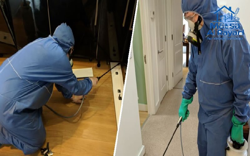 شركة رش مبيدات غرب الرياض | 0545160653