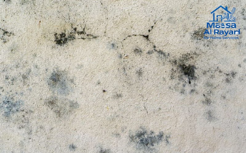 أضرار تسربات المياه الخفية - تشققات جدارية وعفن أسود