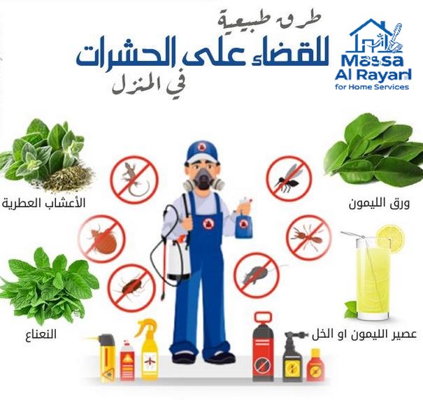 طرق طبيعية للقضاء على الحشرات