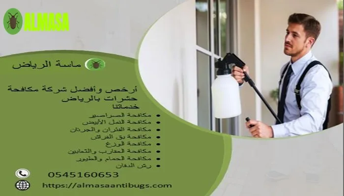 أرخص وأفضل شركة مكافحة حشرات في الرياض | خصومات 50% مع الضمان