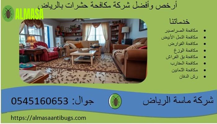أرخص وأفضل شركة مكافحة حشرات في الرياض | خصومات 50% مع الضمان 2 أرخص وأفضل شركة مكافحة حشرات في الرياض | خصومات 50% مع الضمان