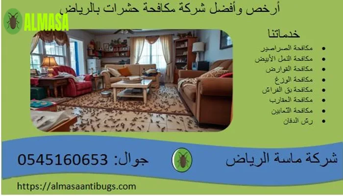 أرخص وأفضل شركة مكافحة حشرات في الرياض | خصومات 50% مع الضمان 2 أرخص وأفضل شركة مكافحة حشرات في الرياض | خصومات 50% مع الضمان