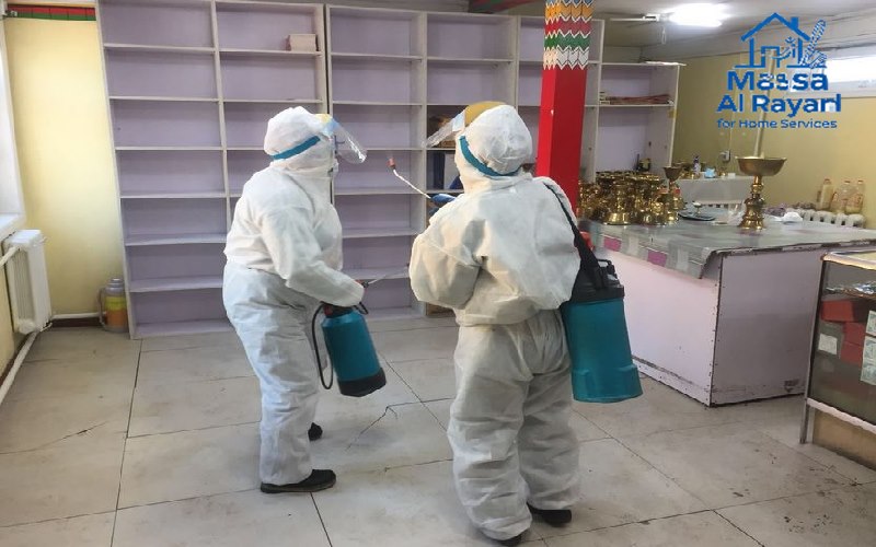 أرخص وأفضل شركة مكافحة حشرات في الرياض