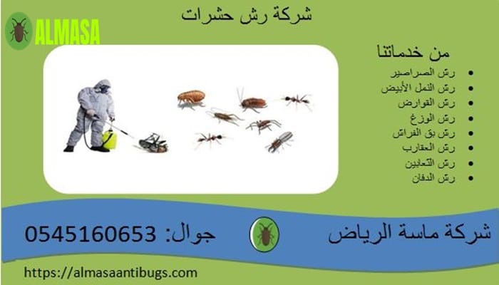 شركة رش حشرات | خدمات مكافحة الآفات بأساليب علمية وضمان 100% 2 شركة رش حشرات | 0545160653