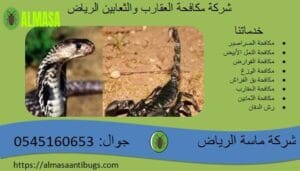 شركة مكافحة العقارب والثعابين بالرياض| 0545160653