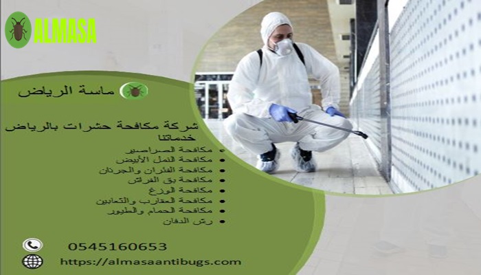 شركة مكافحة حشرات بالرياض 1 شركة مكافحة حشرات بالرياض |0545160653