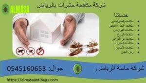 شركة مكافحة حشرات بالرياض |0545160653