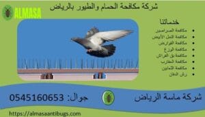 شركة مكافحة حمام بالرياض | 0545160653