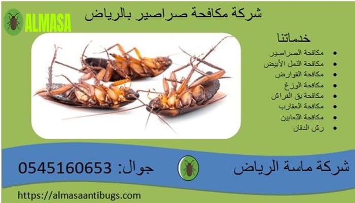 شركة مكافحة صراصير بالرياض 2 شركة مكافحة صراصير بالرياض| 0545160653