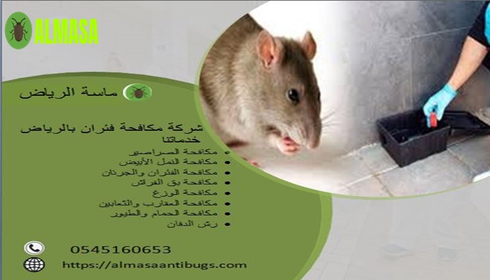 شركة مكافحة فئران بالرياض| 0545160653