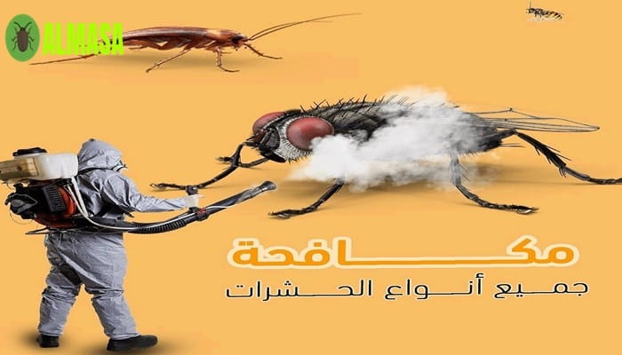 مكافحة الحشرات والقوارض 3 مكافحة الحشرات والقوارض| 0545160653