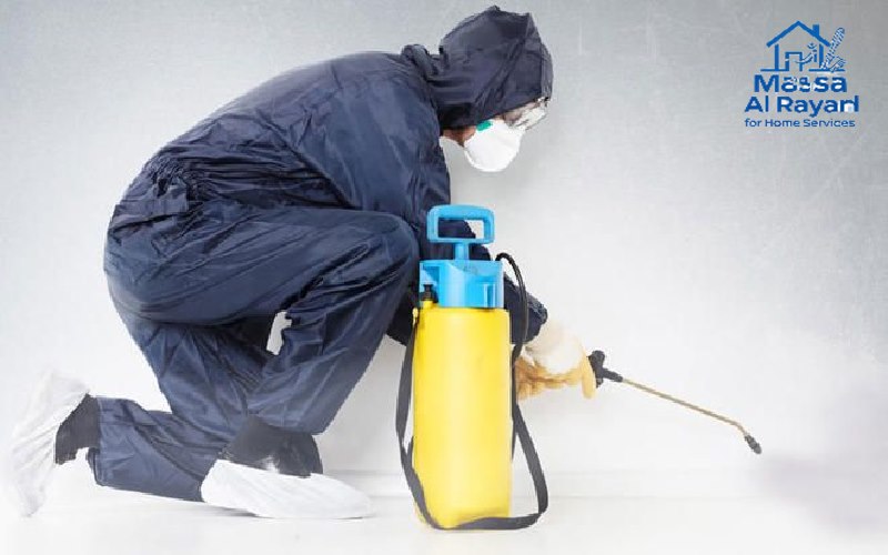 التخلص من النمل الأبيض بالرياض نهائياً