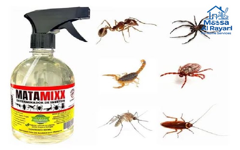 شركة رش مبيدات معتمدة بالرياض 3 شركة رش مبيدات معتمدة بالرياض