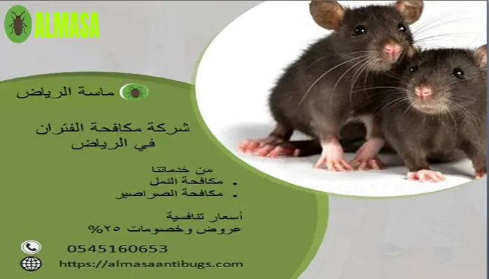 مكافحة الفئران فى الرياض| 0545160653