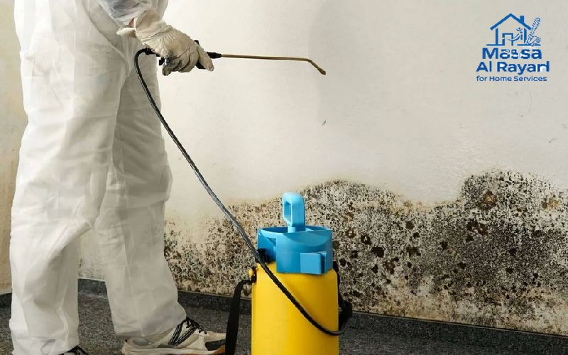 مكافحة النمل الأبيض | ماسة الرياض