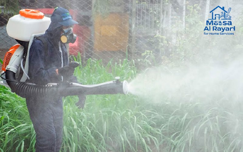 شركة مكافحة الحشرات في الرياض