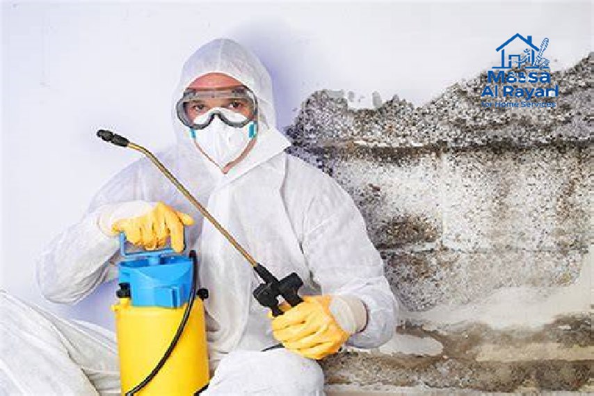 أفضل شركة مكافحة النمل الابيض بالرياض