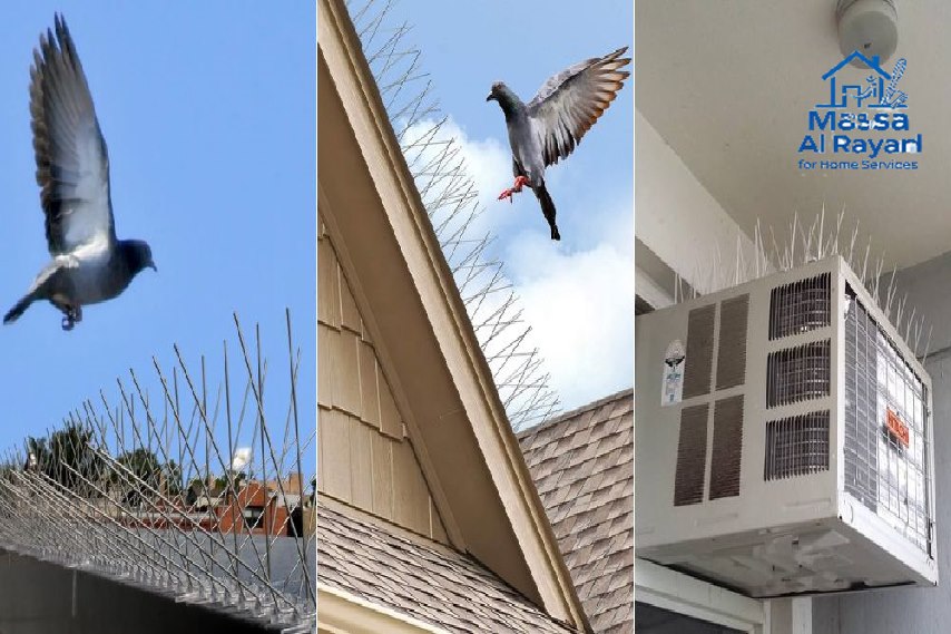 شركة مكافحة حمام بالرياض 2 شركة تركيب طارد الحمام في الرياض