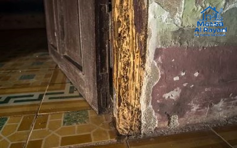 شركة مكافحة النمل الابيض بالرياض 4 تأكل باب حمام داخل شقة في الرياض موضحاً أضرار النمل الأبيض