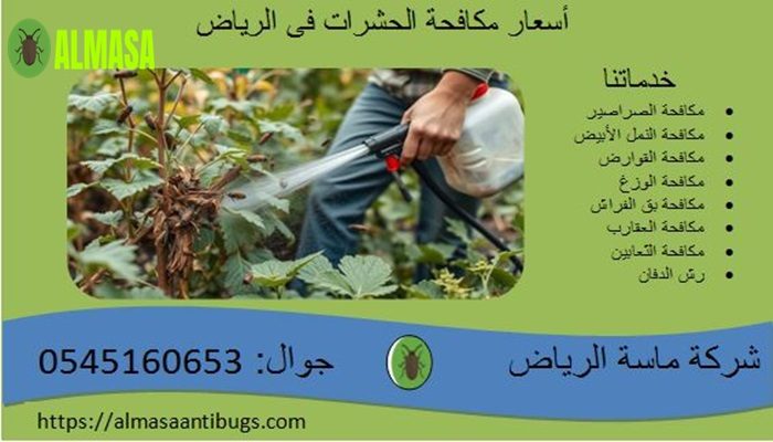 أسعار مكافحة الحشرات فى الرياض |0545160653