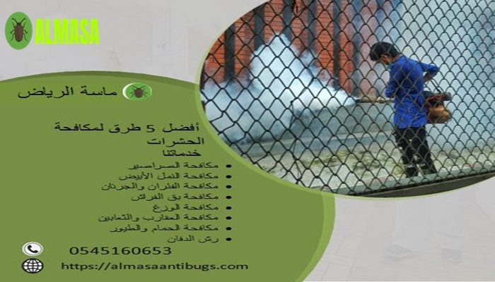 افضل 5 الطرق لمكافحة الحشرات افضل 5 الطرق لمكافحة الحشرات