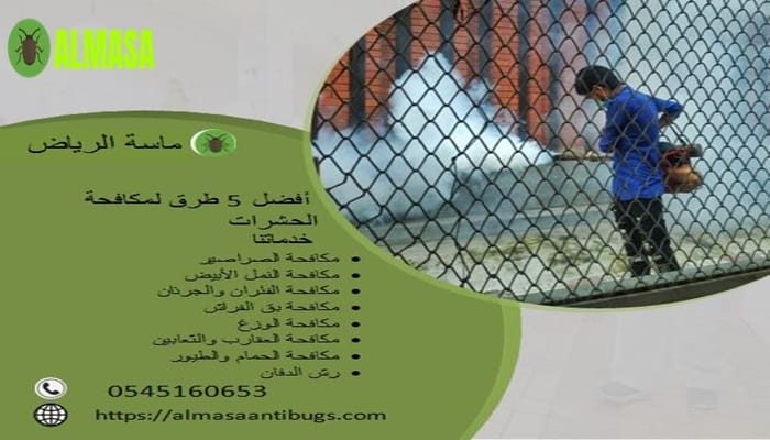 افضل 5 الطرق لمكافحة الحشرات