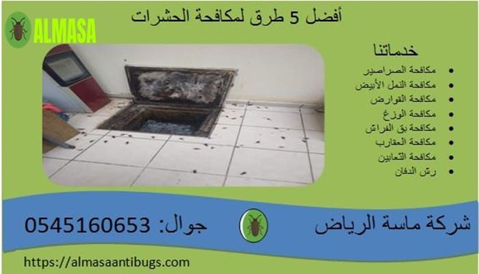 افضل 5 الطرق لمكافحة الحشرات افضل 5 الطرق لمكافحة الحشرات