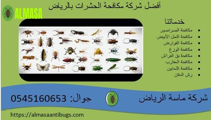 افضل شركة مكافحة حشرات بالرياض | 0545160653