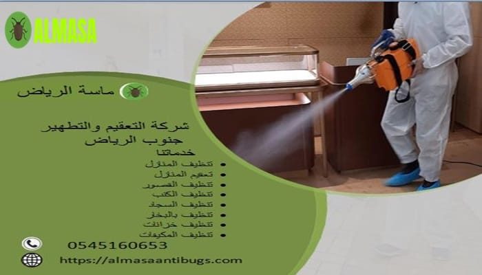 شركة التعقيم والتطهير جنوب الرياض| 0545160653