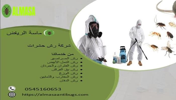 شركة رش حشرات | 0545160653