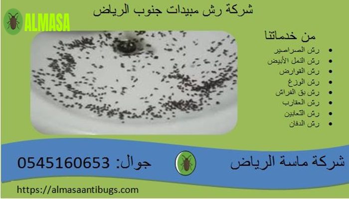 شركة رش مبيدات جنوب الرياض | 0545160653