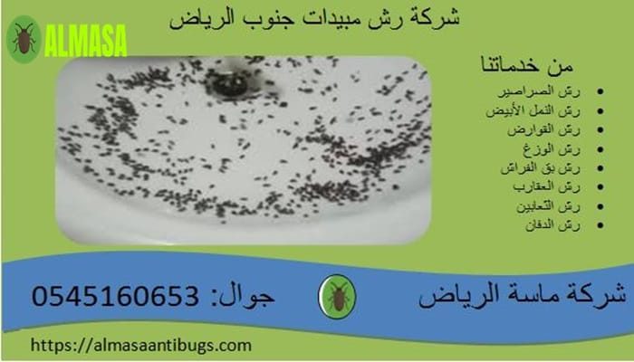 شركة رش مبيدات جنوب الرياض | 0545160653