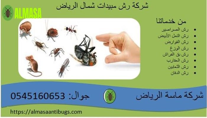 شركة رش مبيدات شمال الرياض | 0545160653