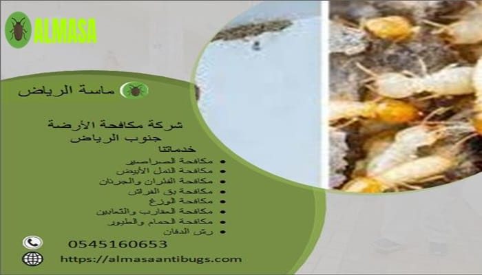شركة مكافحة الأرضة جنوب الرياض | 0545160653