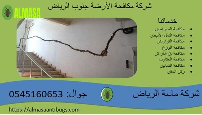 شركة مكافحة الأرضة جنوب الرياض | 0545160653