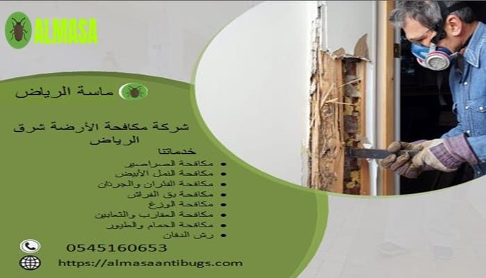 شركة مكافحة الأرضة شرق الرياض 0545160653