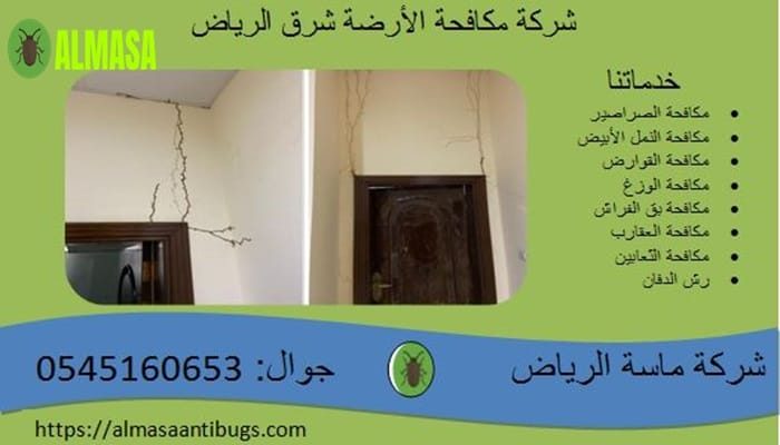 شركة مكافحة الأرضة شرق الرياض 0545160653