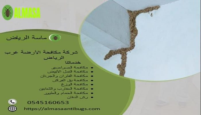 شركة مكافحة الأرضة غرب الرياض 0545160653